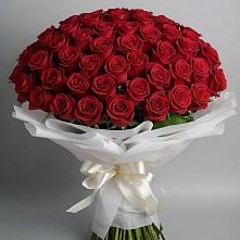 Букет 101 Красная роза Блэк Мэджик в Боре