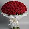 Букет 101 Красная роза Блэк Мэджик в Боре