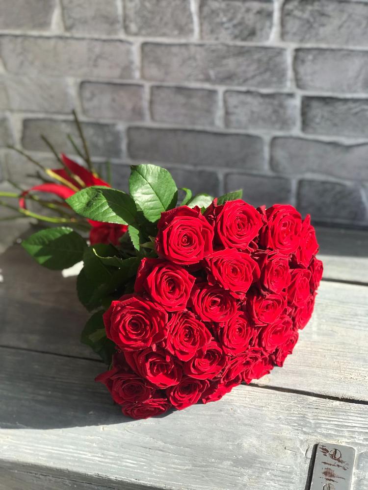 Букет Красные розы Фридом в Боре