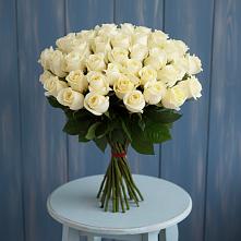 Букет 51 Белая роза Эдлесс Лав #REPLACE_PRED# Боре