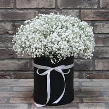 Цветочная композиция из Гипсофила в шляпной коробке в Боре